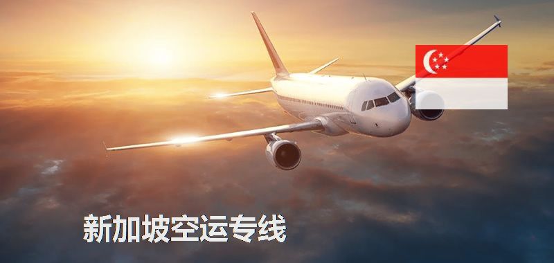 新加坡空運(yùn)專(zhuān)線(xiàn)